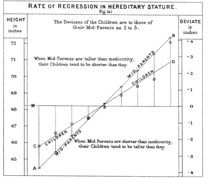 galton-mediocrity