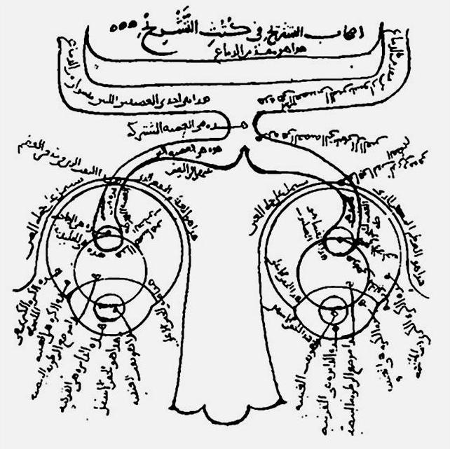 al-haytham-new_optics_03